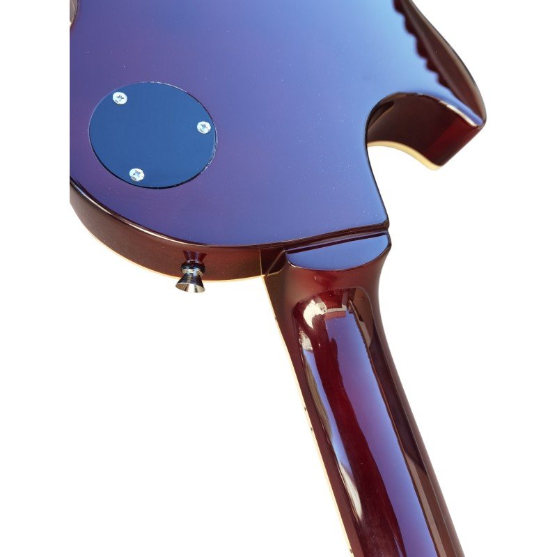 C350.606GD Egmond Les Paul Style Electric Guitar Gold Top Round Top with Glued Neck - Image 5